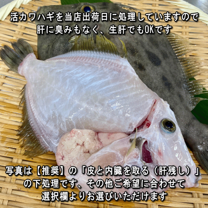 楽天市場 淡路産かわはぎ 丸 丸はげ 本カワハギ 1枚0g前後 活〆即日発送 淡路島発 島のさかな屋 花光 楽天市場 淡路産かわはぎ 丸 丸はげ 本カワハギ 1枚0g前後 活〆即日発送 淡路島発 島のさかな屋 花光