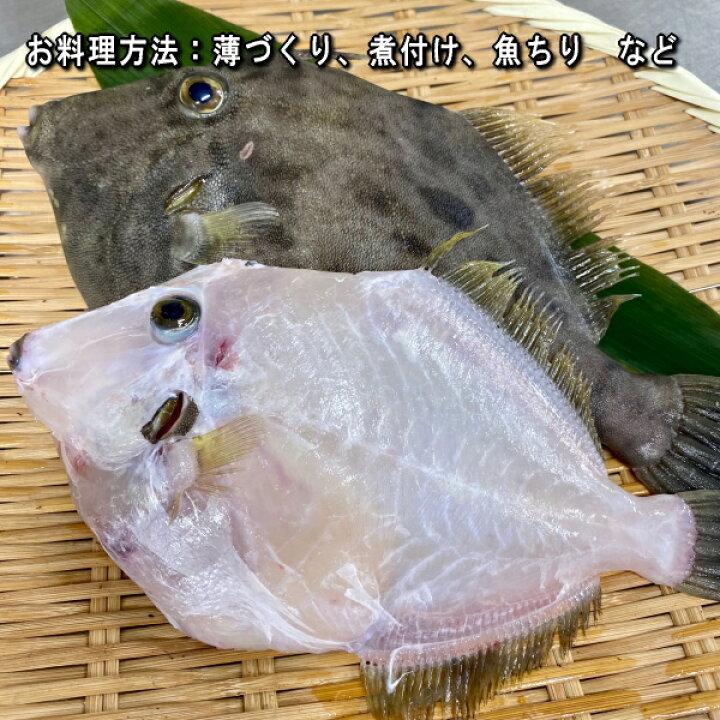 楽天市場 淡路産かわはぎ 丸 丸はげ 本カワハギ 1枚0g前後 活〆即日発送 淡路島発 島のさかな屋 花光 楽天市場 淡路産かわはぎ 丸 丸はげ 本カワハギ 1枚0g前後 活〆即日発送 淡路島発 島のさかな屋 花光