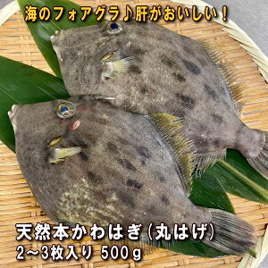 魚 カワハギ 天然の人気商品 通販 価格比較 価格 Com 魚 カワハギ 天然の人気商品 通販 価格比較 価格 Com