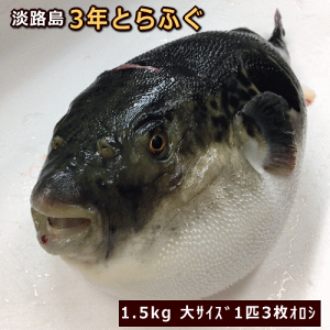 WH3NƂӂ@܂邲1Cyɂ΂Ă͂zyzwOKzyIׂ邨܂tzy̔ԁF11`3zyq12`1ziĂEĂpjTlg