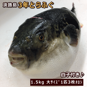 WH3NƂӂ@܂邲1Cyɂ΂Ă͂zyzwOKzyIׂ邨܂tzy̔ԁF11`3zyq̔ԁF12`1ziĂEĂpjTl