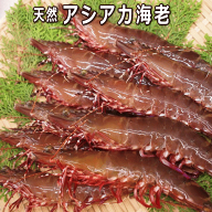 淡路産天然アシアカ海老（生・氷〆）（BBQ・網焼き・エビフライ用）（アシアカエビ/クマエビ）（足赤エビ…