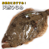 平目　ヒラメ剥製　55cm 平目 ヒラメ剥製 55cm アート・写真