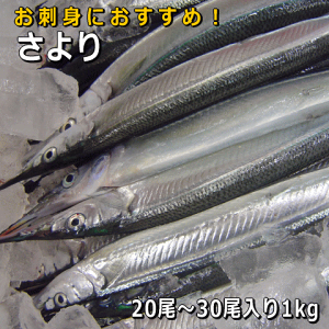 WHYiTEXYjy̔ԁF10`4z