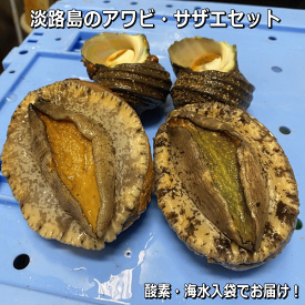 淡路島の活アワビと活サザエのセット【お中元・お歳暮】【ギフト】【父の日】【母の日】【販売期間：通年】