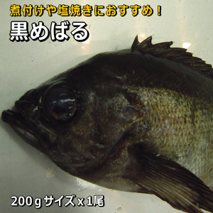 WHYNoi߁ji߂΂ENoE߂΂jy̔ԁF3`6z