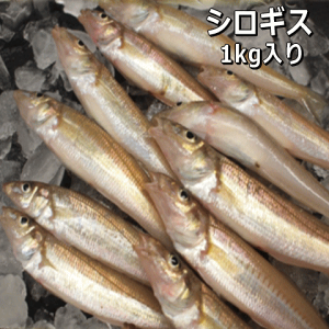 WHYLXiVMXELXSEVՂEhgpjy̔ԁFʔNz