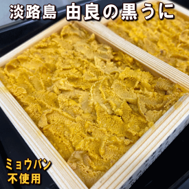 由良の黒うに(生食用・黒ウニ）天然無添加 ミョウバン不使用【漁期3月～5月下旬】漁獲海域：淡路島沖（生ウニ 淡路 うに 雲丹　ムラサキウニ・生ウニ）【販売期間：3月～5月】