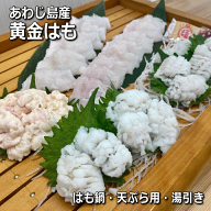 あわじ島産 黄金はも （鱧・ハモ・はも・生・こがねはも）【楽ギフ_のし】【お中元】【ギフト】【父の日…