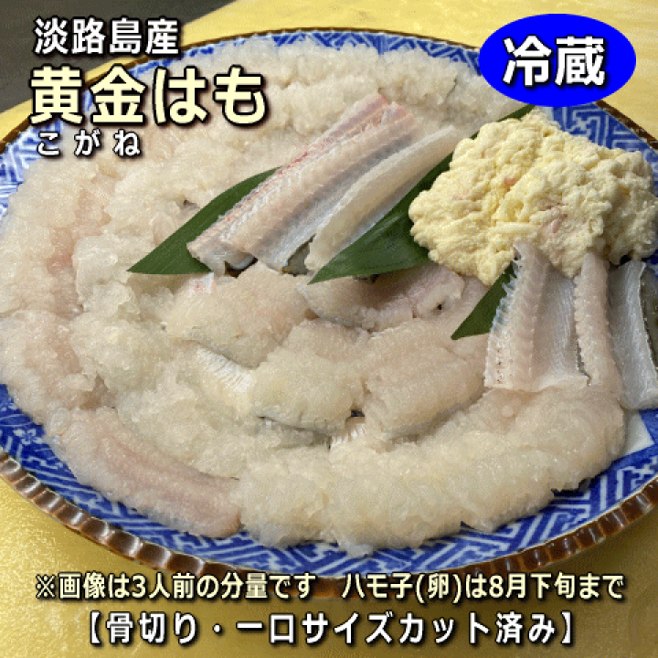 楽天市場】淡路島産黄金ハモ(こがねはも) 天ぷら・フライ・は 楽天市場】淡路島産黄金ハモ(こがねはも) 天ぷら・フライ・は
