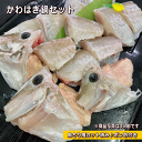 淡路島産天然かわはぎ鍋セット（うまづら・うまずら・馬面・ハギ・長はげ・長ハゲ）【販売期間：10月～5月】