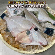 淡路島産天然長はげ（ウマズラ)（生食用・薄づくり用・お鍋・水炊き）（うまづら・うまずら・馬面・ハギ…
