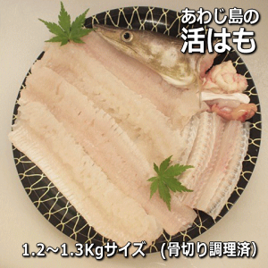 WHY ͂ۂ1{iEnE͂Ejyzy̓zy̓zyMtgΉzy̔ԁF4`11z