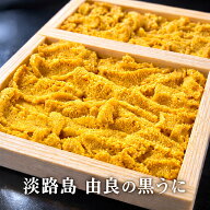 由良の黒うに(生食用・黒ウニ）天然無添加 ミョウバン不使用漁獲海域：淡路島沖（生ウニ 淡路 うに 雲丹…