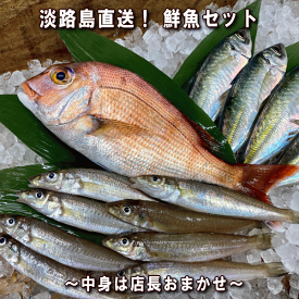 淡路島産天然鮮魚セット【販売期間：通年】