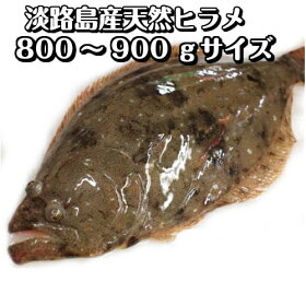 楽天市場 鮮魚 魚類 ヒラメ 淡路島発 島のさかな屋 花光