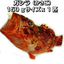 楽天市場 カサゴ その他水産物 魚介類 水産加工品 食品の通販
