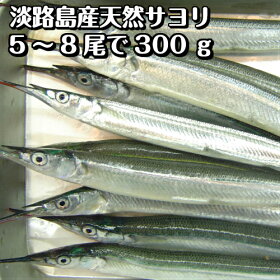 楽天市場 鮮魚 魚類 サヨリ 淡路島発 島のさかな屋 花光
