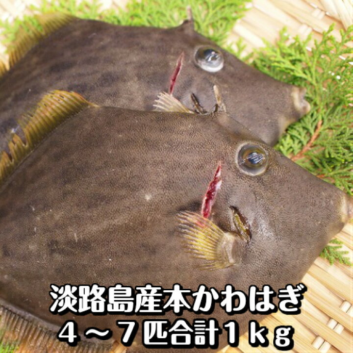 楽天市場 淡路島産天然カワハギ 丸はげ 4 7枚合計1kg 本かわはぎ 淡路島発 島のさかな屋 花光 楽天市場 淡路島産天然カワハギ 丸はげ 4 7枚合計1kg 本かわはぎ 淡路島発 島のさかな屋 花光
