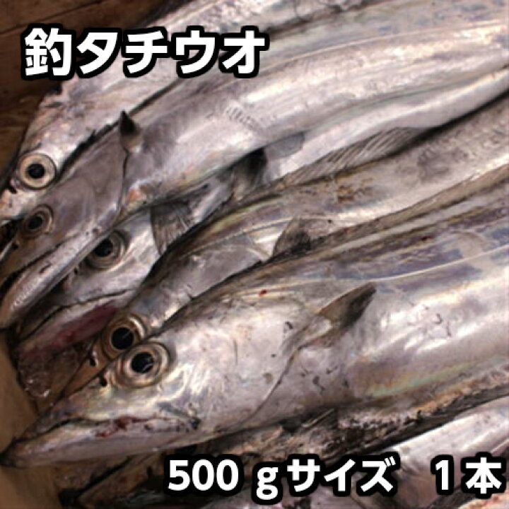 楽天市場 お刺身用 淡路産 釣 タチウオ約500g中サイズ1本 たちうお 太刀魚 つり 淡路島発 島のさかな屋 花光 楽天市場 お刺身用 淡路産 釣 タチウオ約500g中サイズ1本 たちうお 太刀魚 つり 淡路島発 島のさかな屋 花光