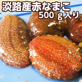 楽天市場 生 ナマコの通販