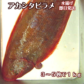 淡路島産アカシタビラメ3～5枚入り【1kg】200g〜300gの中大サイズ（シタビラメ・あかした・アカシタ・しらびらめ・赤舌平目）