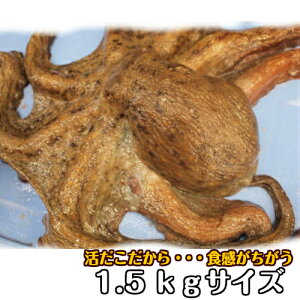 生 タコの人気商品 通販 価格比較 価格 Com