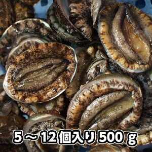 WHYVR()yyMt_̂ziArE鸁Eсj