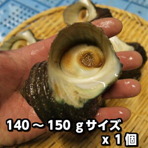 天然 さざえの人気商品 通販 価格比較 価格 Com 天然 さざえの人気商品 通販 価格比較 価格 Com