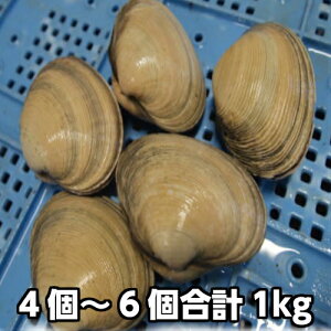 VR傠iLjBBQɂ߁Io[xL[@ĂL@ԏĂ@CNBBQ@Lv