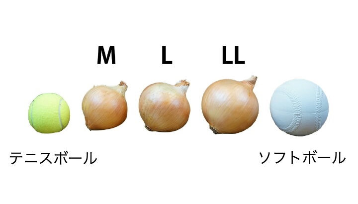 楽天市場】【送料無料】 淡路島 玉ねぎ 淡路島ブランド玉ねぎ 伝家の宝玉 Mサイズ 10kg 淡路島産直玉ねぎ 送料無料 : くらしやすく 楽天市場】【送料無料】 淡路島 玉ねぎ 淡路島ブランド玉ねぎ 伝家の宝玉 Mサイズ 10kg 淡路島産直玉ねぎ 送料無料 : くらしやすく