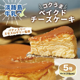 楽天市場 チーズケーキ ホールの通販