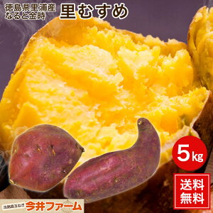 yzȂƋނ 5L@yYYzȂƋނ 5LTc}C