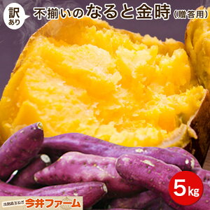 yz󂠂EŝȂƋ 5L@@Y Tc}C@܂󂠂ȂƋ5L܂