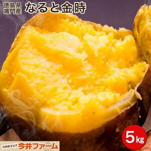 yzȂƋ 5L (Y)   Tc}C ܂ȂƋ 5L