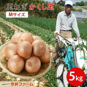 yGg[P10{zWH܂˂ʁ5K MTCY WH ʂ˂ ܂˂ ܂˂ ʔK ʂ˂