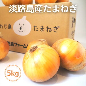 WH ʂ˂ 5kg  Ɍ WHY ܂˂ ^}lM ʔK WHt@[ ʂ˂WH 5L WHʂ˂ WH܂˂  Âʂ˂ ܂܂˂