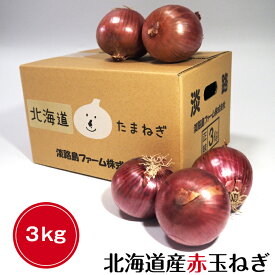 北海道 玉ねぎ 赤玉ねぎ 紫玉ねぎ 3kg 送料無料 北海道産 紫たまねぎ 赤タマネギ 赤たまねぎ 赤玉葱 淡路島ファーム 3キロ サラダ 生食 レッドオニオン ピクルス ポテトサラダ アーリーレッド 野菜