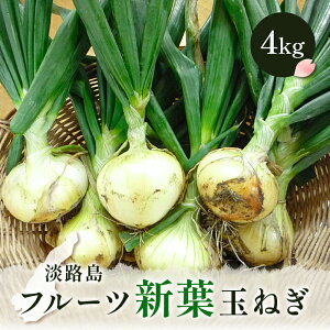 Z yGg[Ń|Cg10{z ʂ˂ Vtʂ˂ Vʂ˂ V܂˂ VʔK WH ʂ˂ ܂ŐVʂ˂WHt[cVtʂ˂4kgIyύłƂƂIztςύŊ