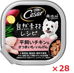 y28ZbgzV[U[@RfރVs@`L܂E񂰂 85g }[X ybg t[h hbOt[h ܂Ƃߔ