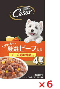 y6ZbgzV[U[@W[V[Ir[t@`[YEʂؓ 70g×4 }[X ybg t[h hbOt[h ܂Ƃߔ