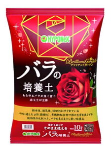 ������o�����ǂ���y���������I�z�u�����A���g�K�[�f���@�o���̔|�{�y�@��������̏��i�̔̔�����1�ł��B