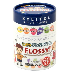 yIzǂf^tXFLOSSYI 60{ f^tX L΍ C L\h f^PA aPA@̏i̔̔1łB