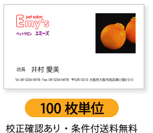ʐ^h h쐬 hy100PʁzhP[X1tBʐ^EɔzufUCłBhe͒tH[ɂLAʓr[łm点BSAC