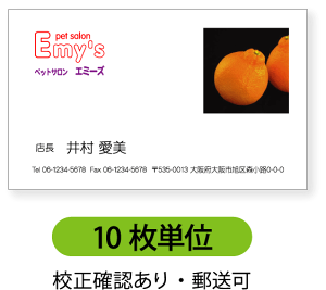 写真名刺 名刺印刷 名刺作成【10枚単位】写真を右上に配置したデザインです。人物写真、ペットの写真、風景、ショップカードや結婚二次会のサンクスカードなどにもお勧めです。写真を