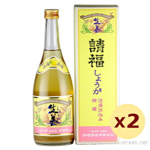  I 12x,720ml × 2{Zbg /  / l A L[ 蕨 Ε  Mtg hV̓ ̓ ƈ 