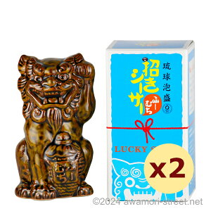  V[T[ Ӂ[ނ 20x,180ml x 2{Zbg /  / ꍇ A A ̏  Mtg ƈ  Ε N yY ̓ ̓ hV̓ p