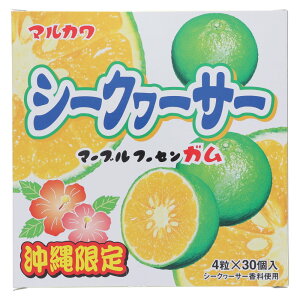 V[N[T[}[uK 30i4×30܁j  }J V[N[T[ K َq XC[c nK yY Mtg v[g 4902747302101