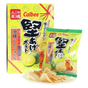 Jr[|egV[N[T[ 90g(15g×6) |egV[N[T[ n|eg n|eg`bvX kn|e` |eg`bvX XibNَq ܂ َq 