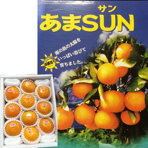 Y݂2kg SUNi܂jϔ  50Zbg肨Ε Mtgp GiYnIIW(݂)S-3LTCY(8`12x)y\z{̉ꂨȂt[c(